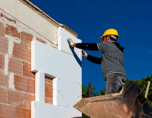 Best Cellulose Insulation in Chetek, WI