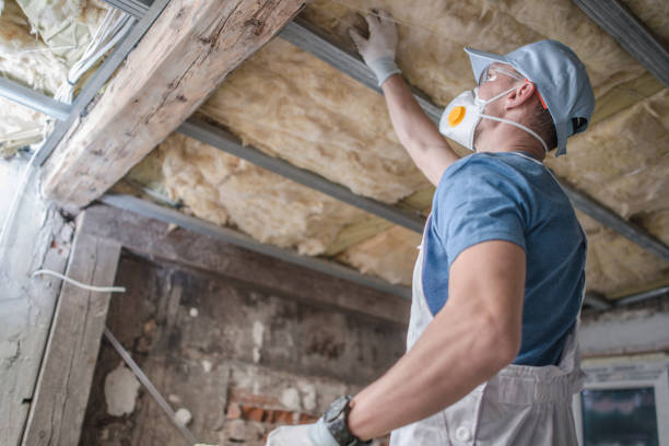 Best Residential Insulation in Chetek, WI